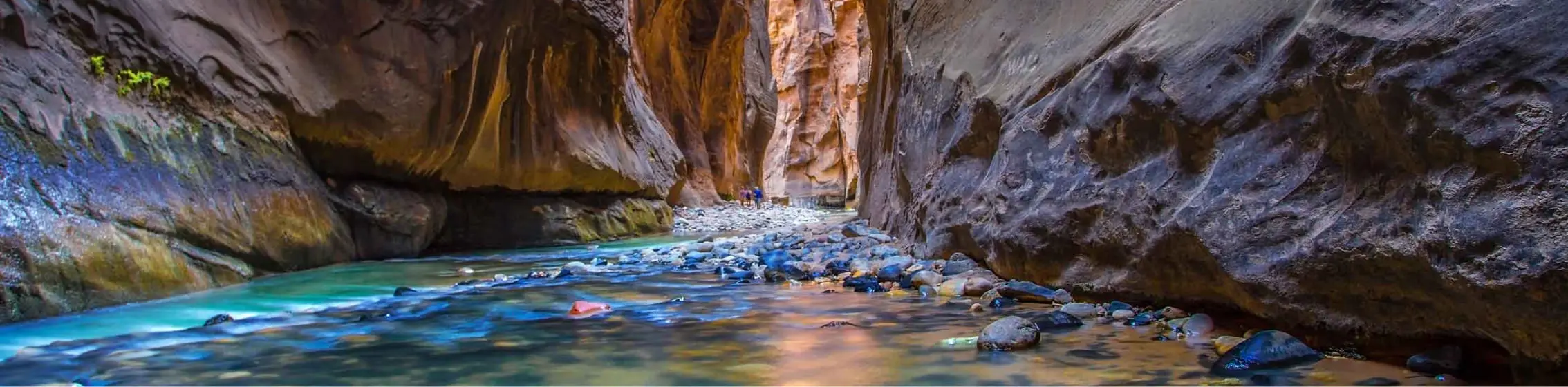 the narrows at zion