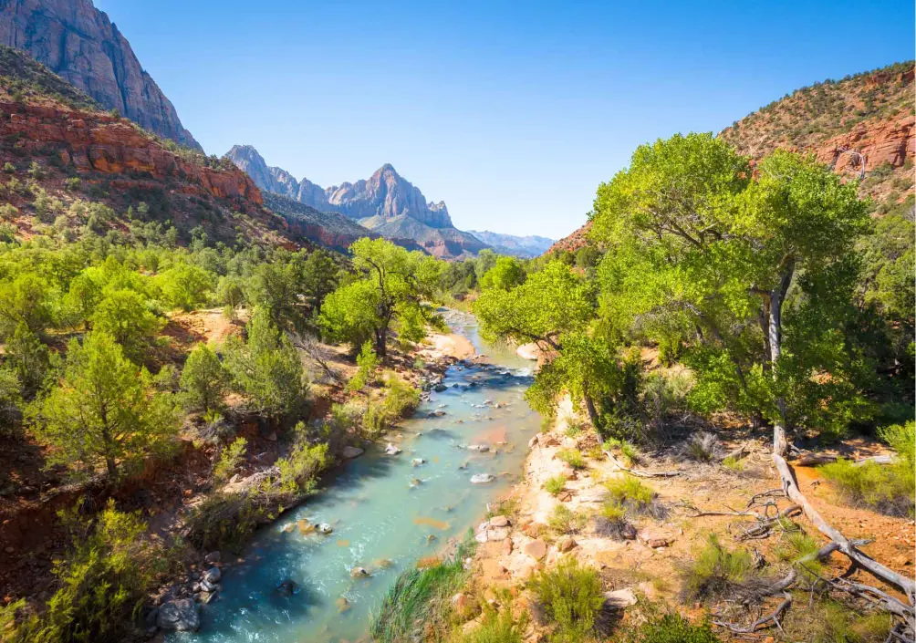 a river in zion
