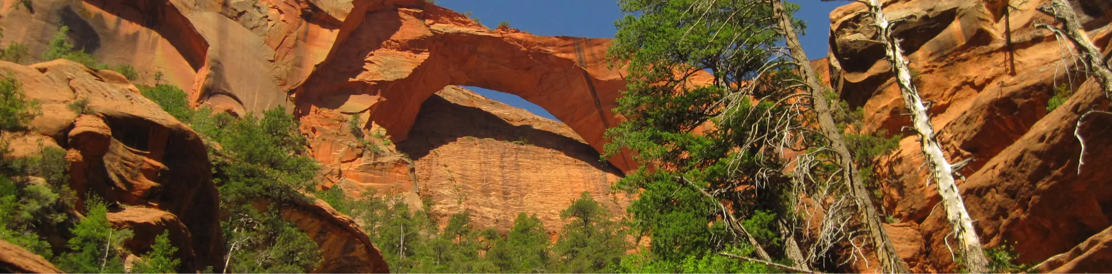arch at zion