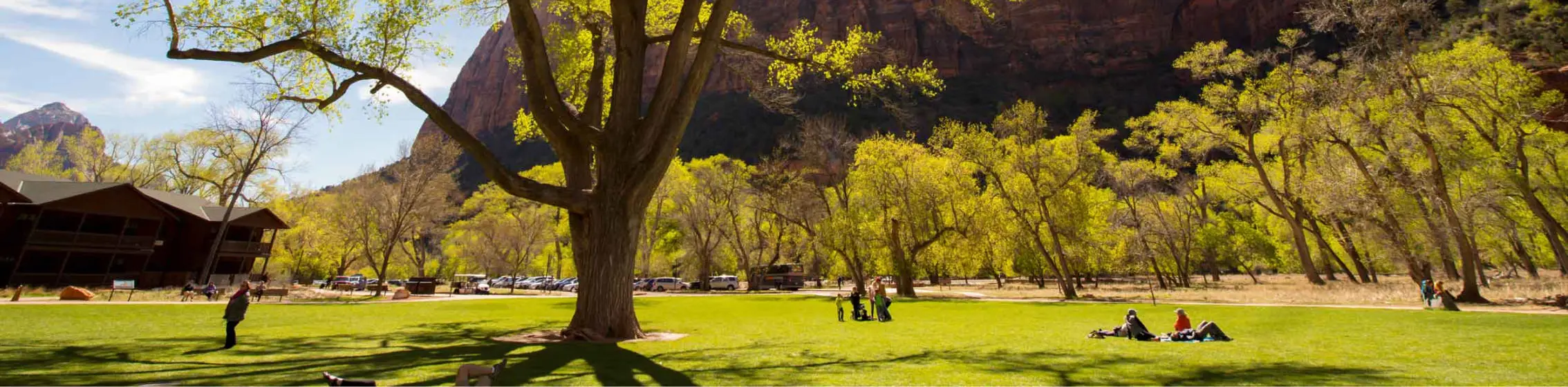 A green park at Zion