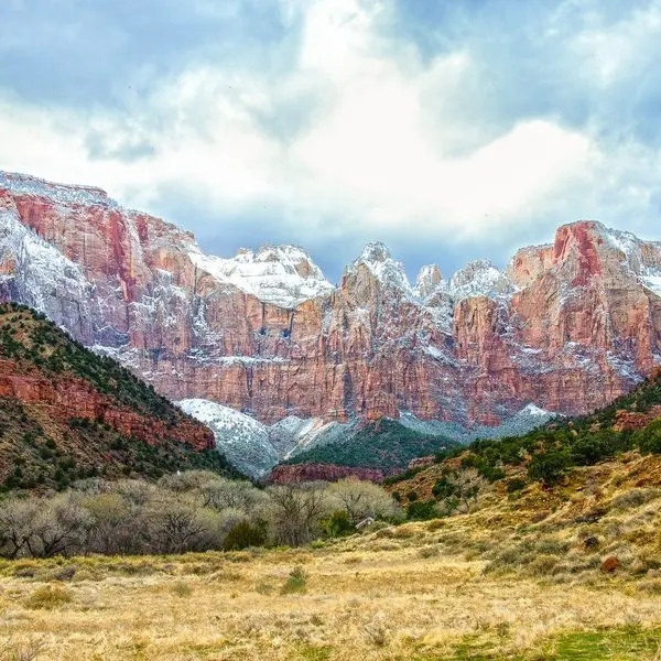 snow on the rocks at zion