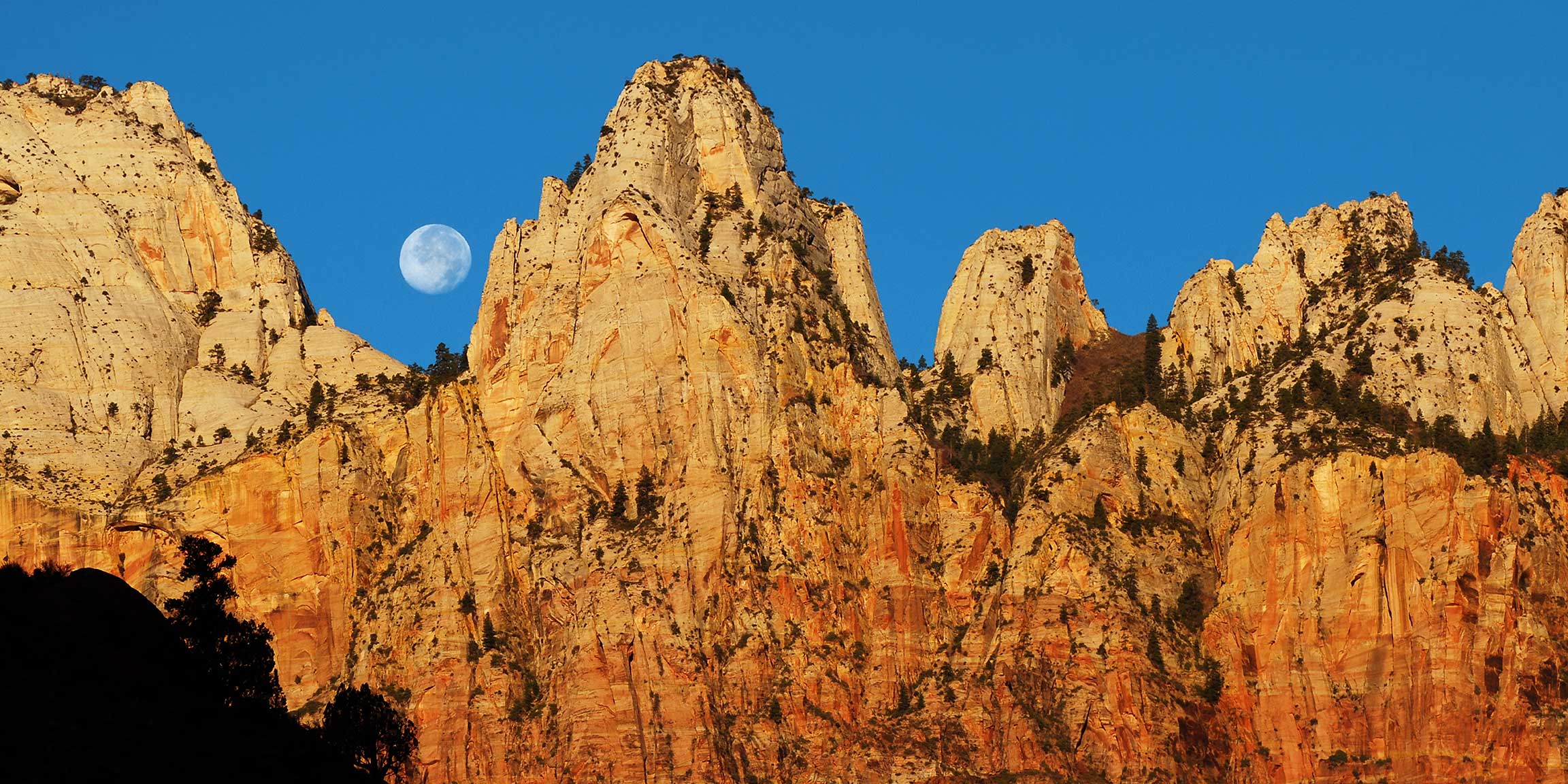 Discover Zion's Geology